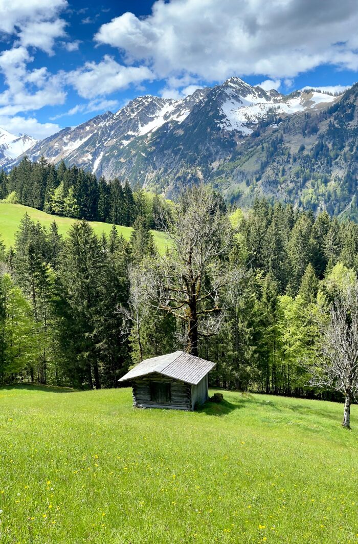Gorgeous Nature In Allgäu, Germany