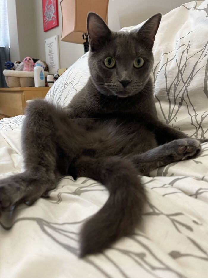 This Is My Goofy Boy Finn.