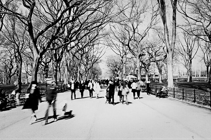 Easter Stroll In Central Park