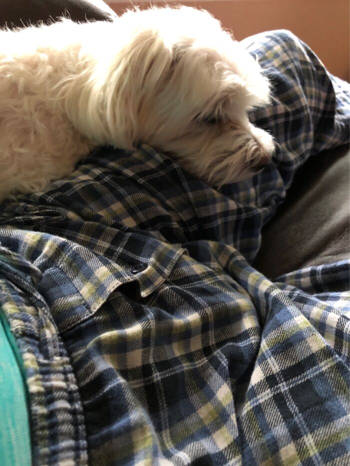 Someone Is Bored. 🐶