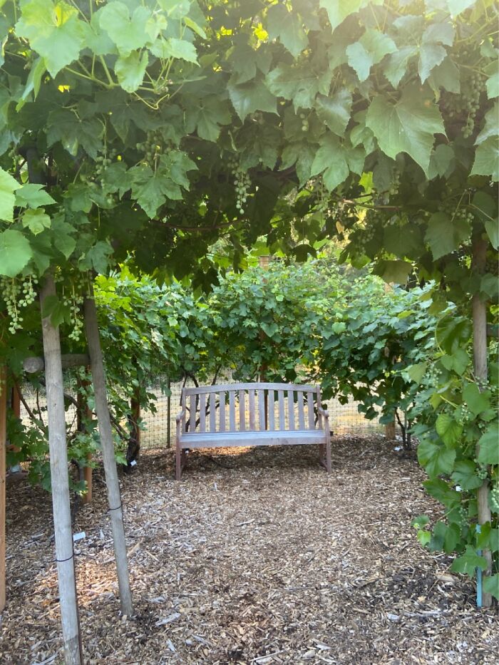 Loving The Shade In Oregon!