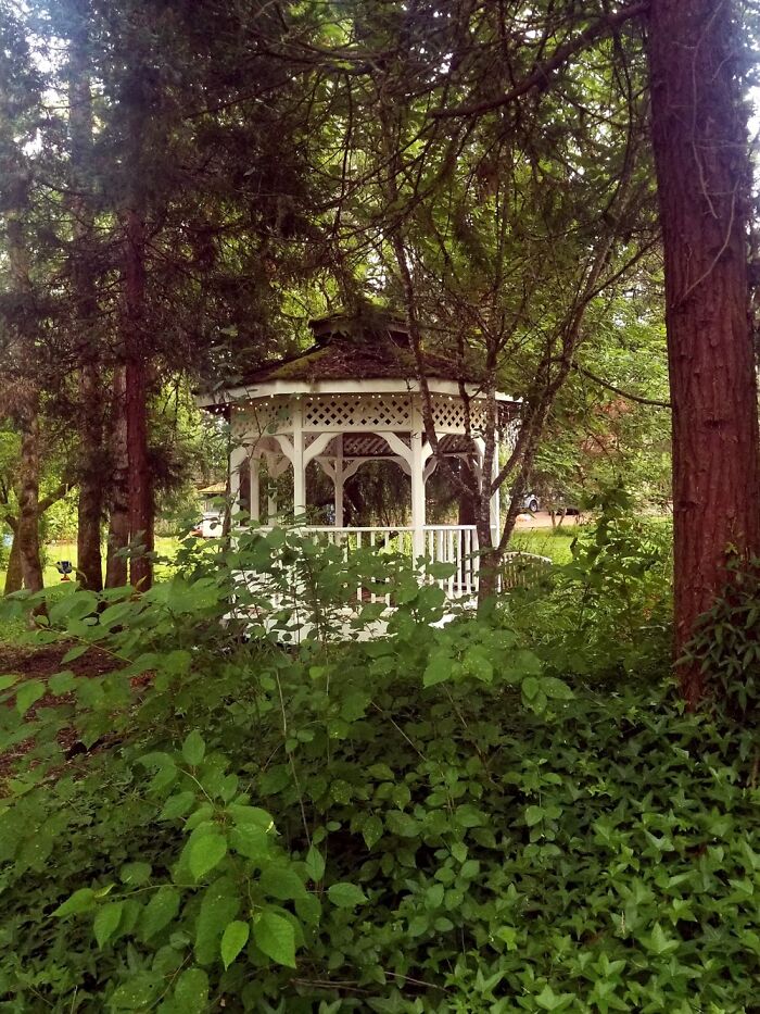 Our Gorgeous Backyard, Complete With Pond And Gazebo.