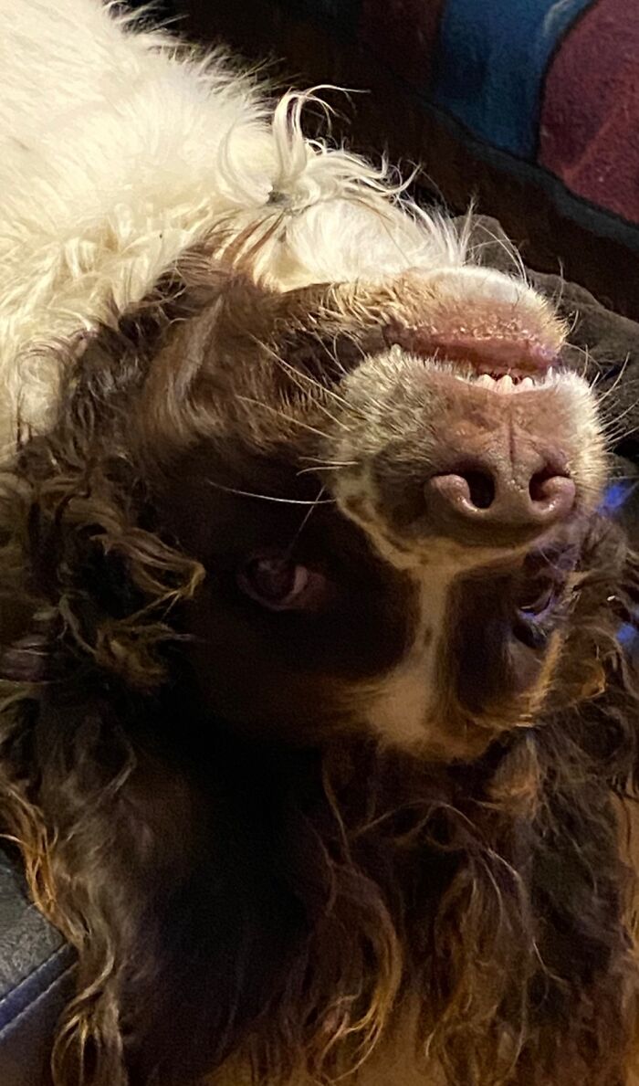 Hudson Being An Upside Down Derp!