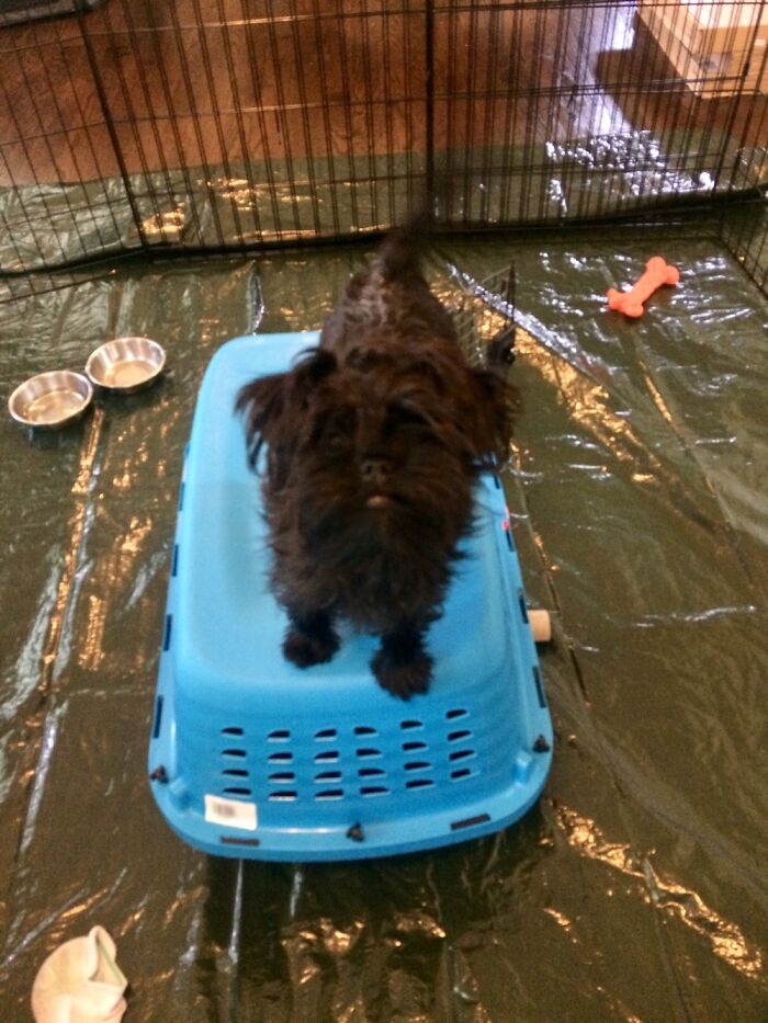 The Early Days Of Potty Training.