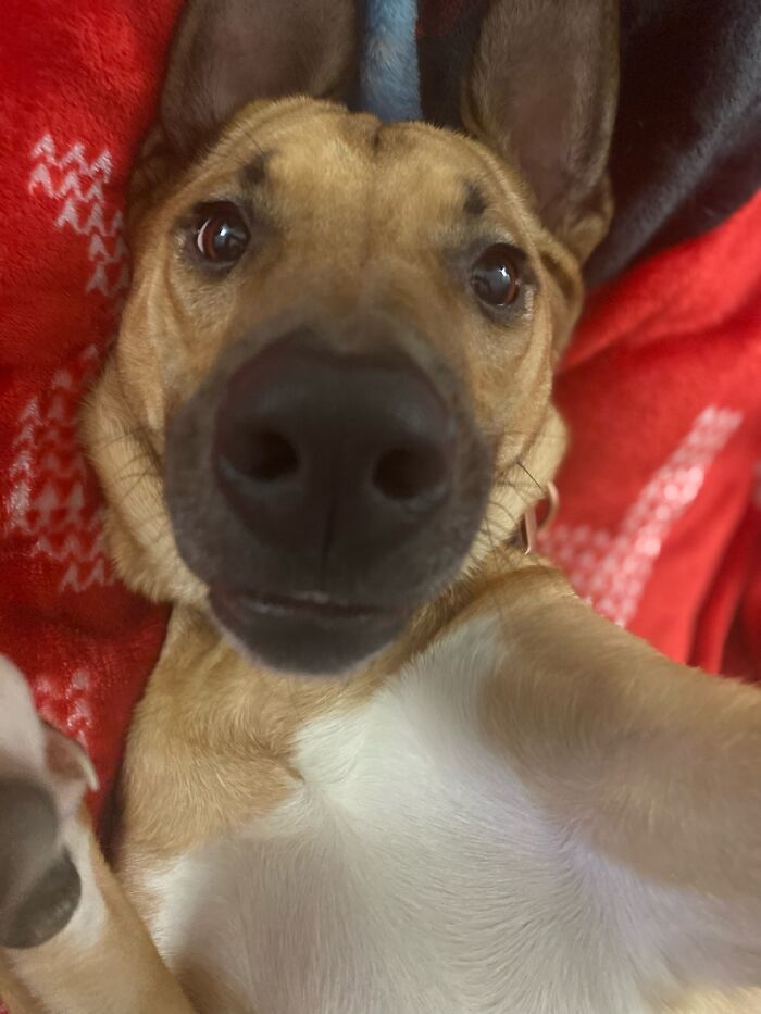 Feeling Cute, Might Post It. Idk