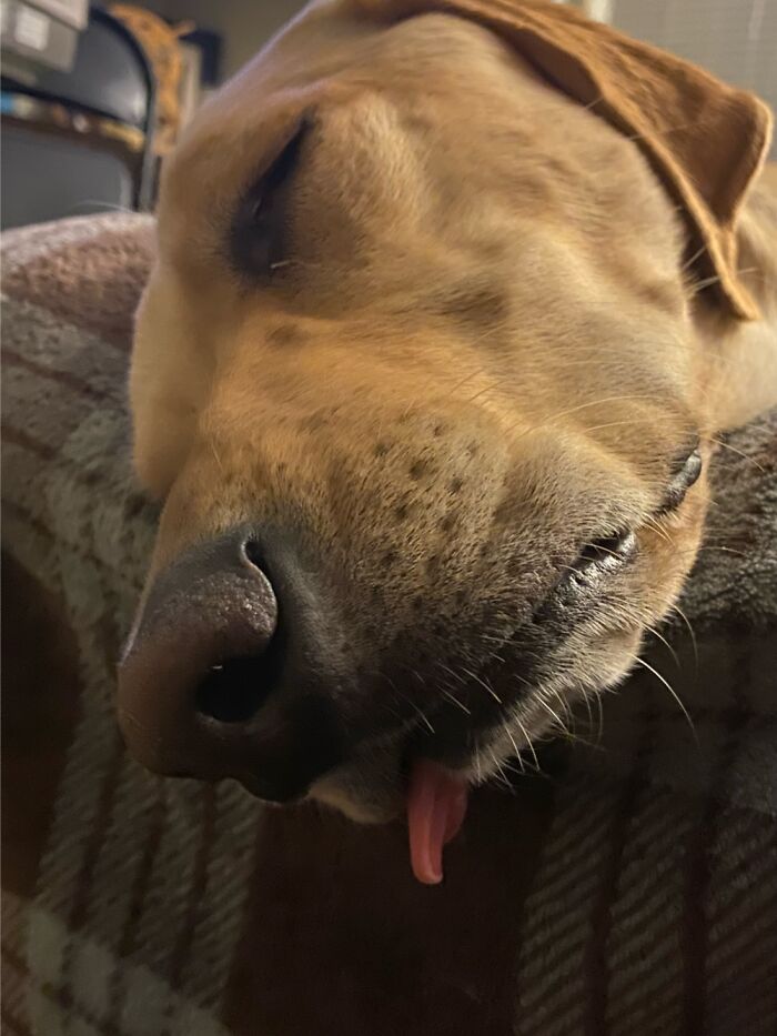 Sleeping Derpy