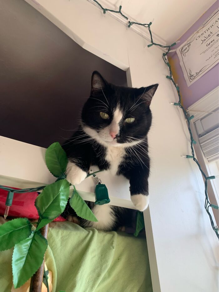 Lafayette Hanging Out