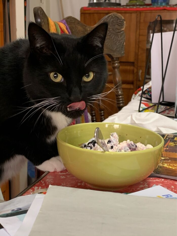 Ivy Parker, Resident Taste Tester.