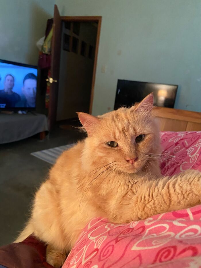 Baby Mean~he Bites With Love.