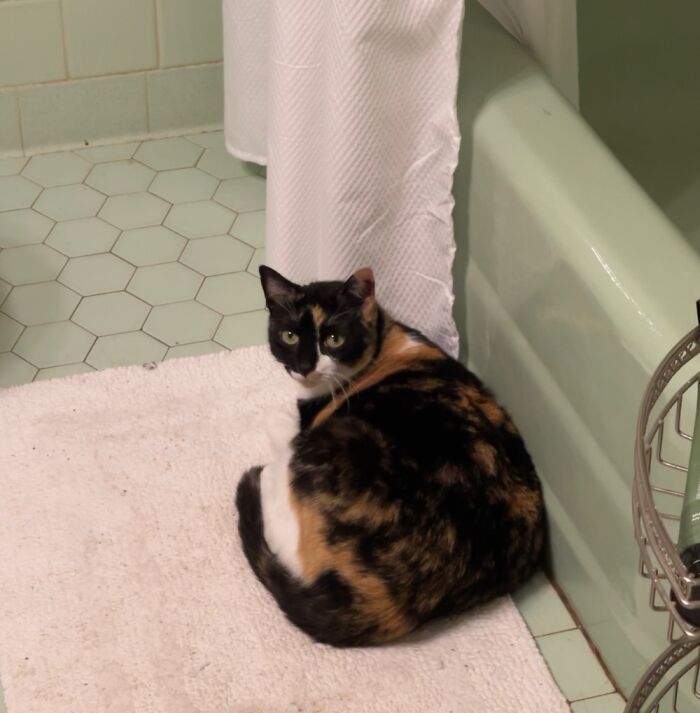 My Weird Girl Money Penny.