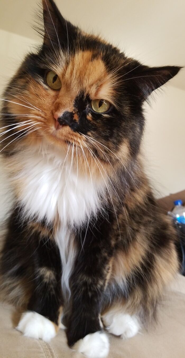 My Beautiful Girl Turns 10 Next Month! She Still Looks So Young