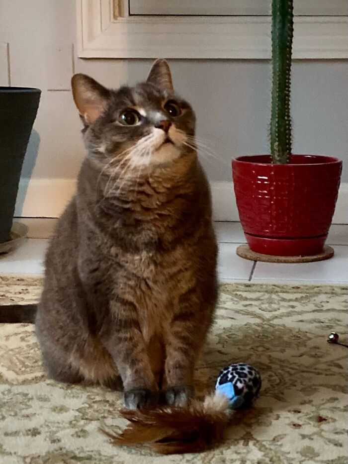 Won’t Someone Play With Me?