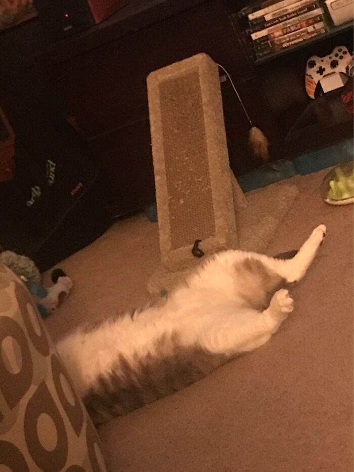 “I See What The Problem Is.”