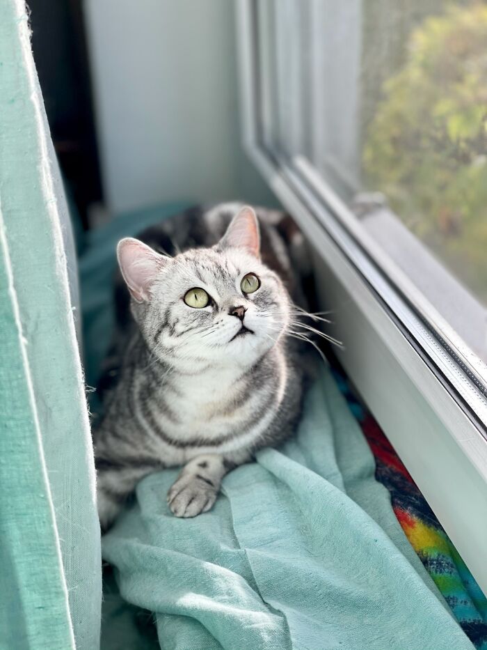 My Sweet Princess Jiji Is A Pure Beauty