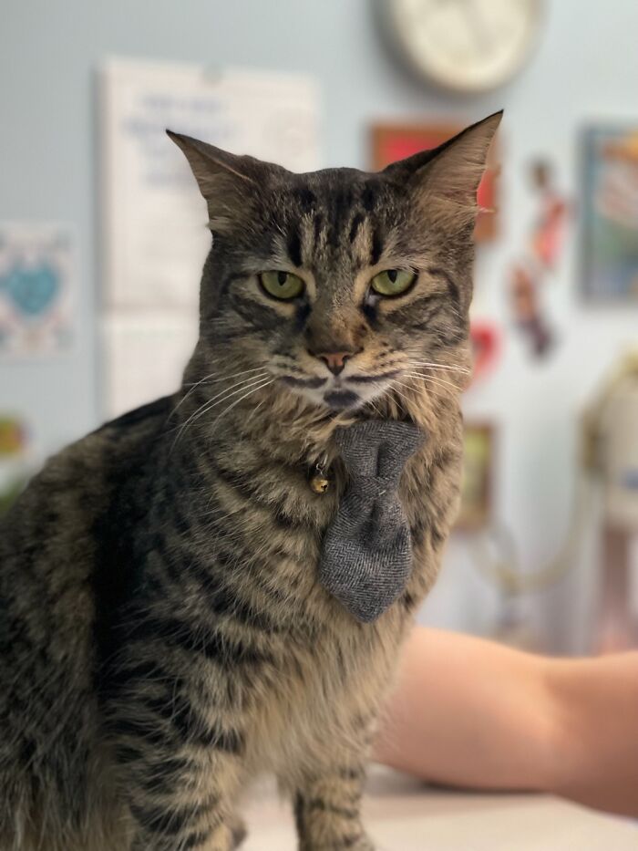 Major Tom All Business!