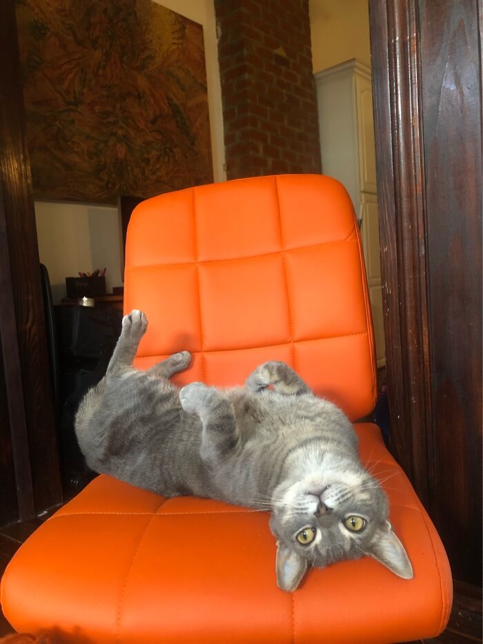 Hello, My Name Is Earl