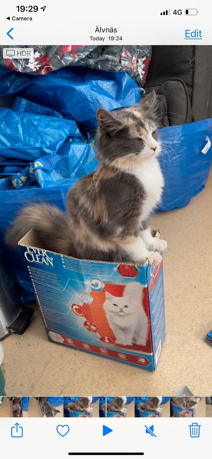 I’ll Just Save You The Trouble Of Adding New Sand…