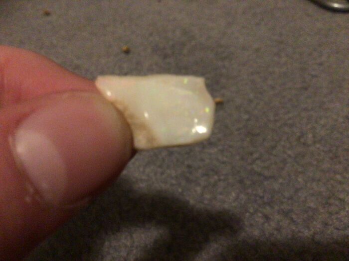 An Opal, All Of The Colours In Them Are Unique (Found This One Myself!)