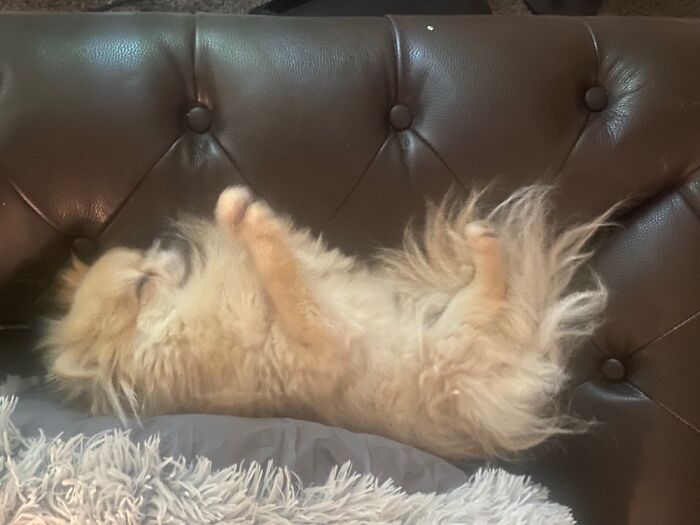 Ruprecht. No, Really.