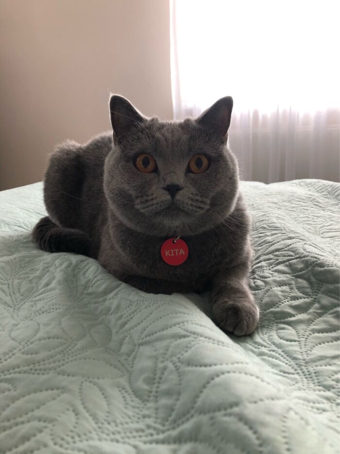 Her Name Is Kita (Kee-Tah).