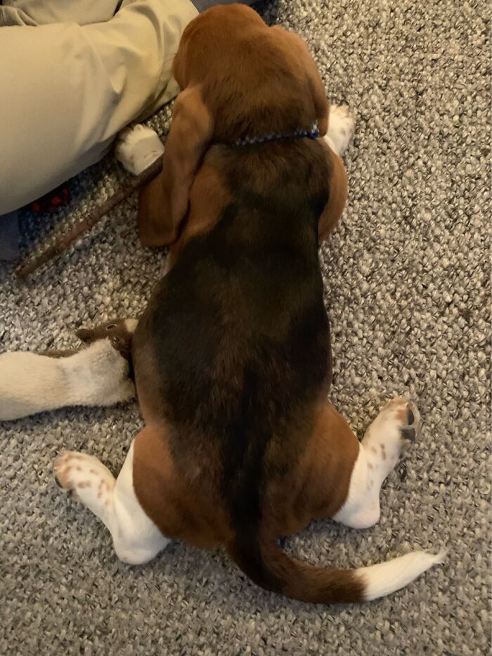 There Is No Way To Describe This