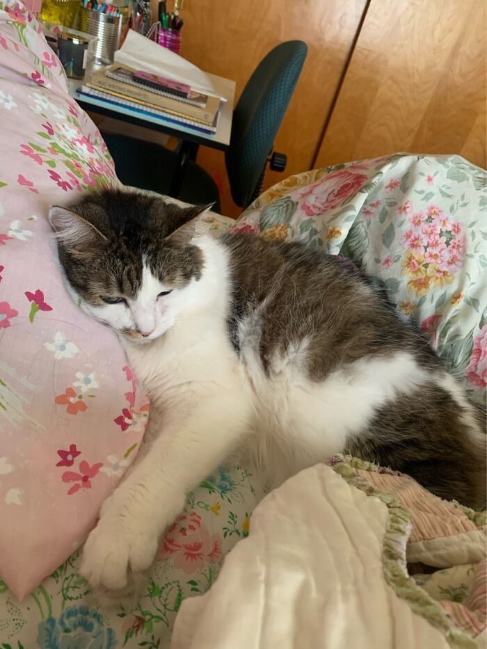 Milky Way Has Her Own Pillow