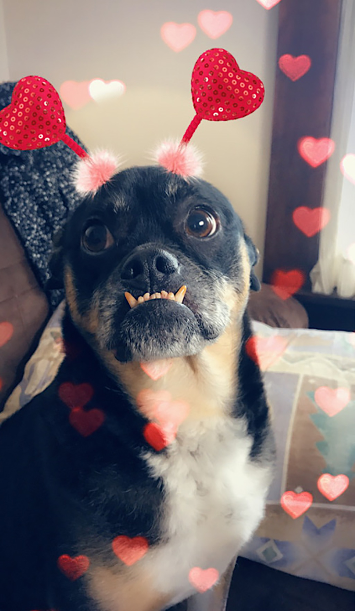 He Wasn’t Nearly As Amused As I Was