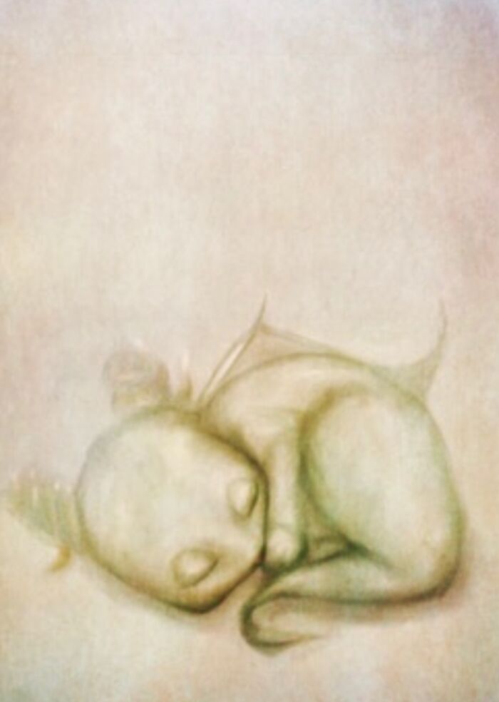 My Baby Dragon From My Children’s Book A Fairy Goodnight