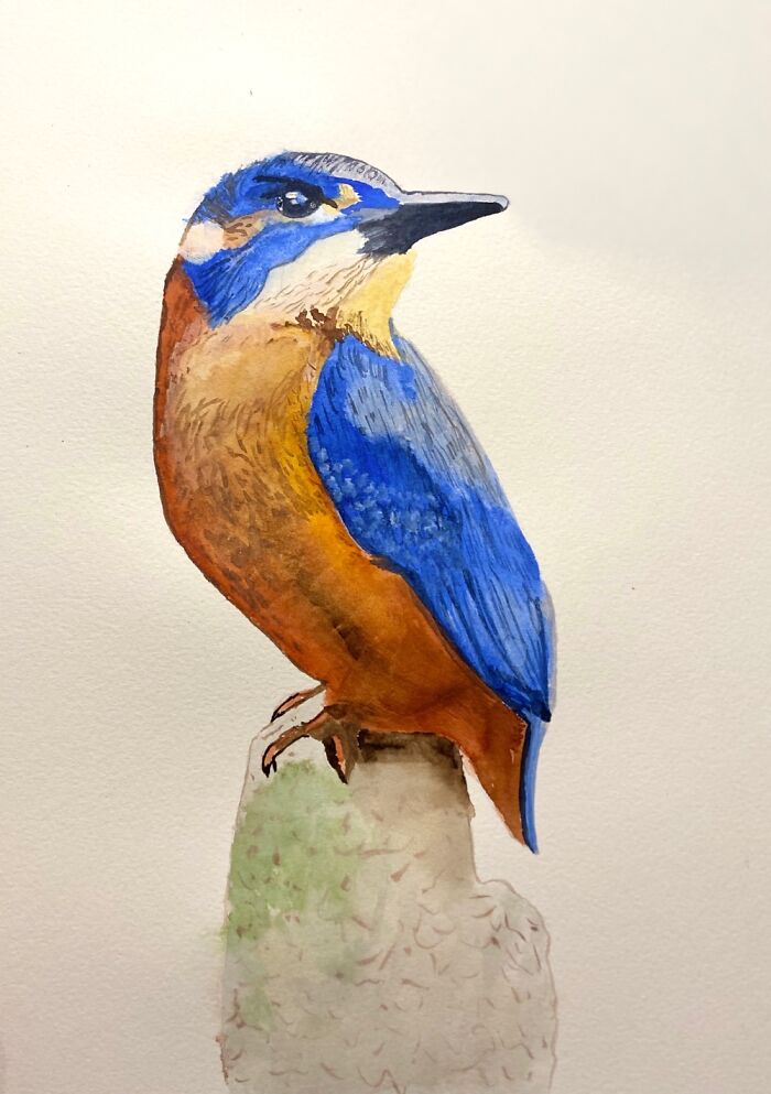 Kingfisher - Two Months After First Picking Up A Paintbrush