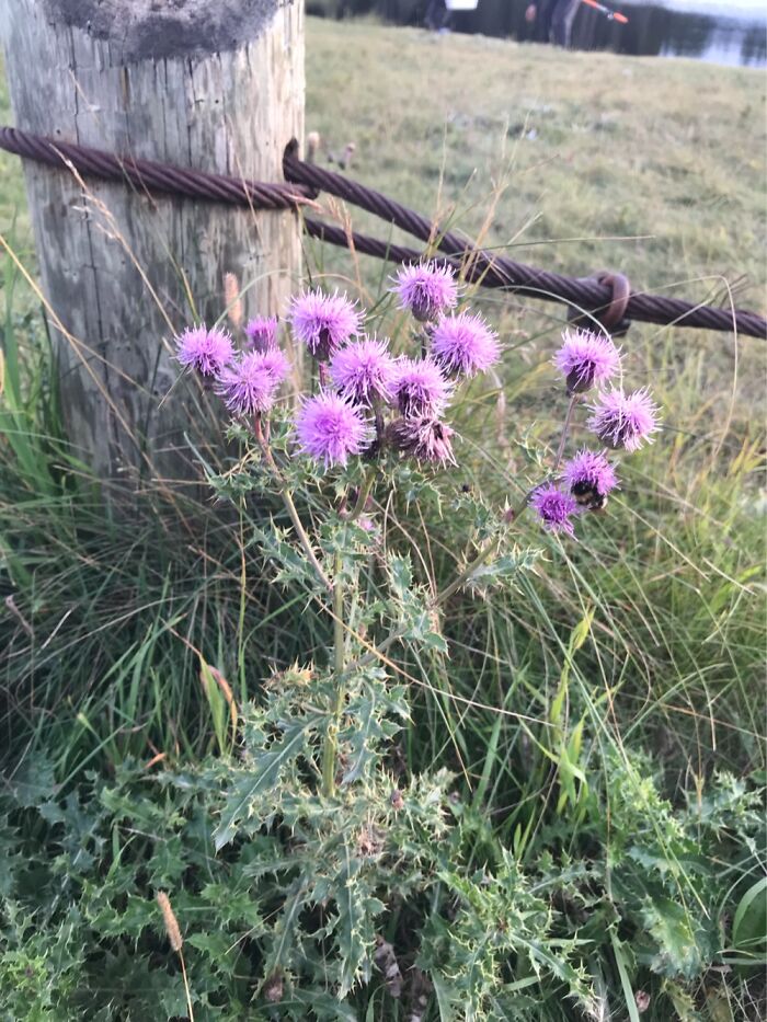 Spend More Time With Nature