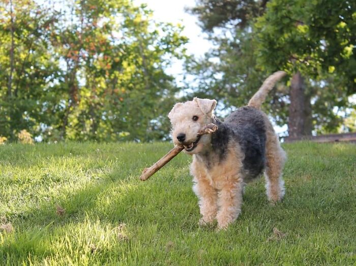 Enjoying The Last Of Summer!