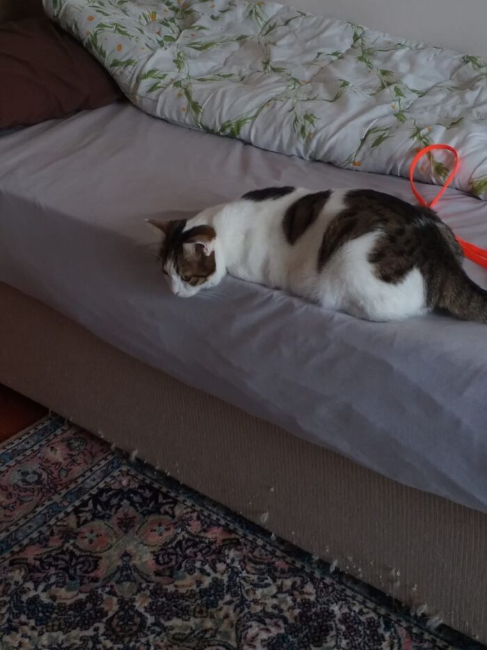 24/7 He Sits Like This ....