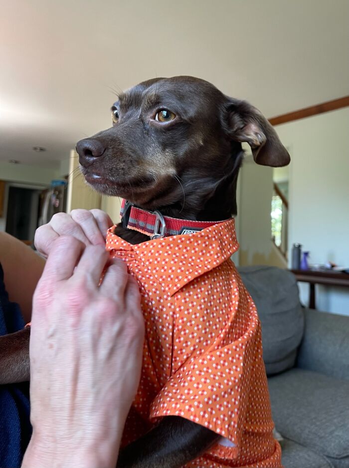 But Mom, I Don’t Want To Dress Up.