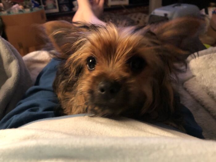 New Baby Boy! Sukoshi !!