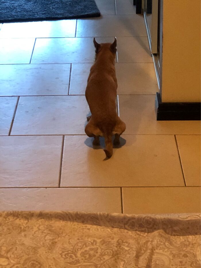 Hover Is My Thing...