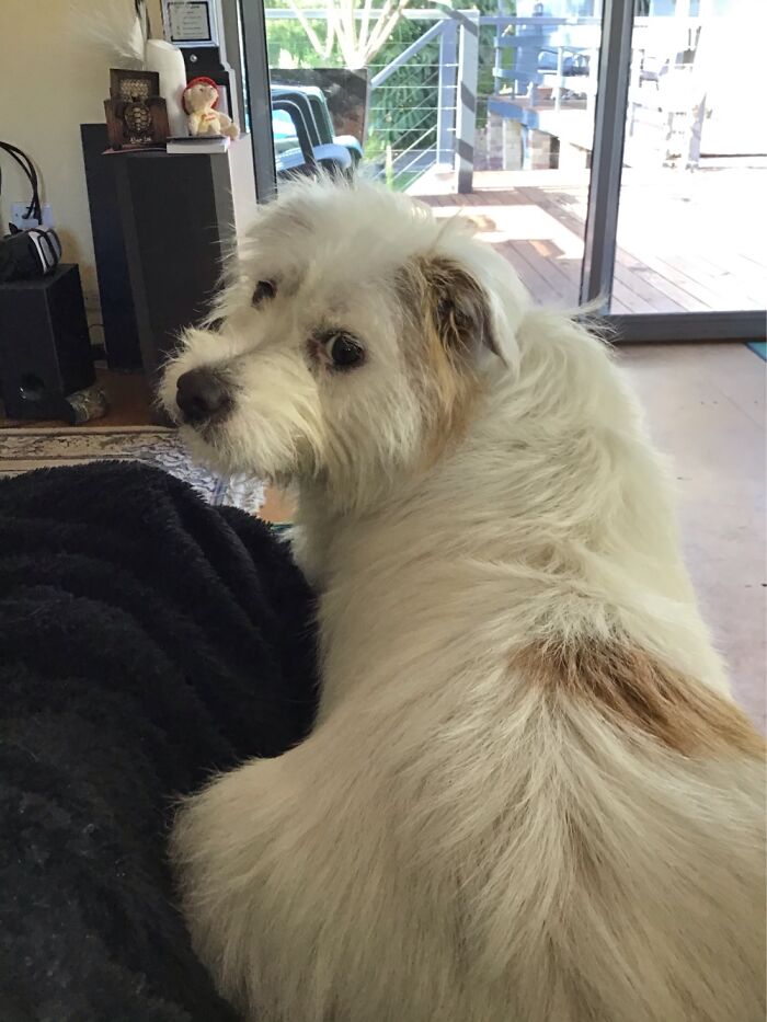 “Sniffy” - Looking Quite Demure