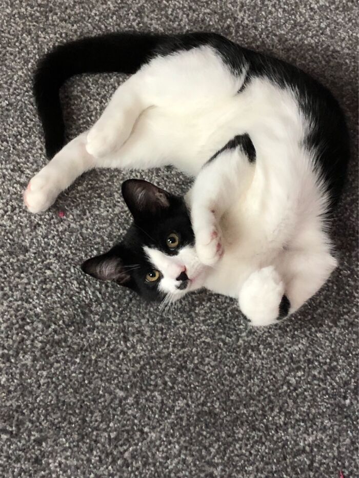 Not A Loaf Of Bread... More Of A Pretzel