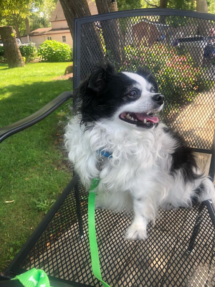 Benny Celebrating My Birthday.