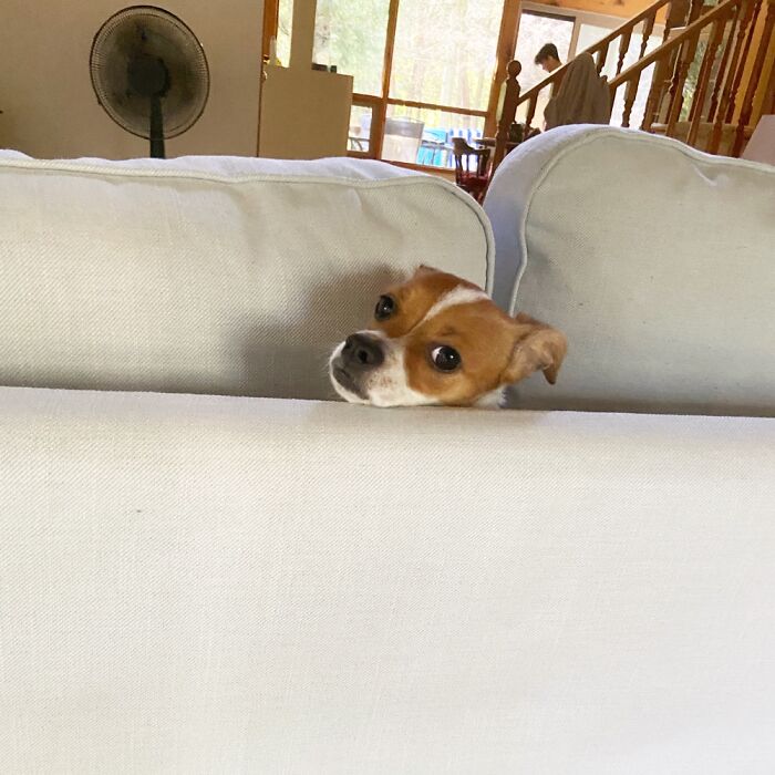 We All Have Our Things…