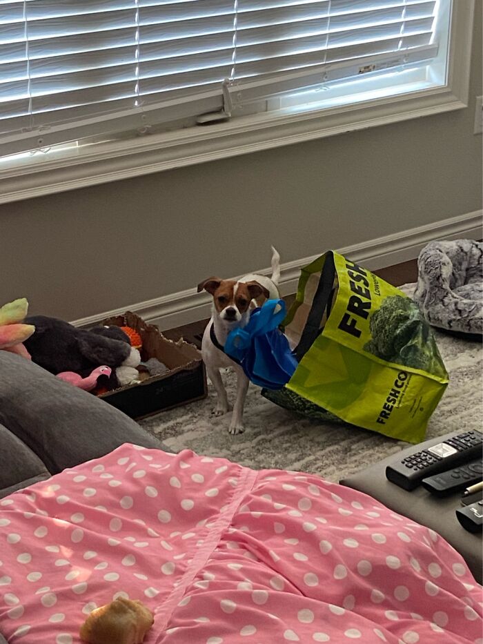 Yeah I Did… And No I Don’t Want To Talk About It