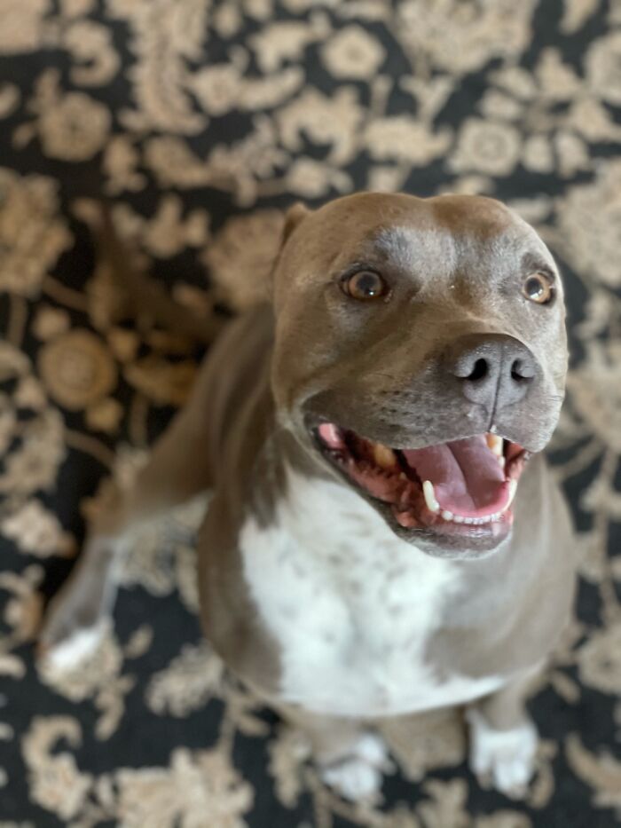 Thor Is All Smiles