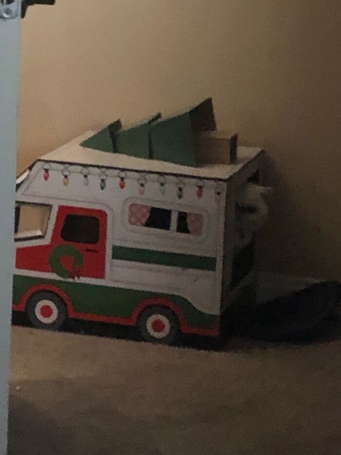 We Were Petting His Brother