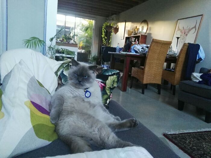 “You Know That’s My Bad Angle!”