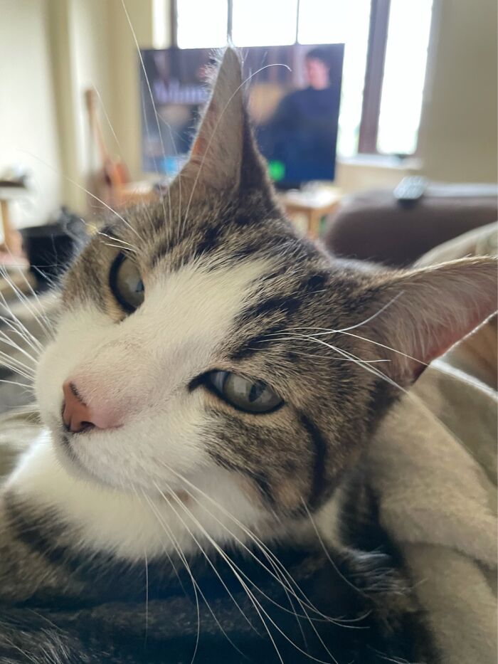 I Said No More Photos!