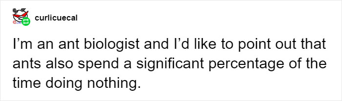 People Provide Historical And Biological Examples Of Why Humans Should Embrace The Lazy Life More Often People Provide Historical And Biological Examples Of Why Humans Should Embrace The Lazy Life More Often