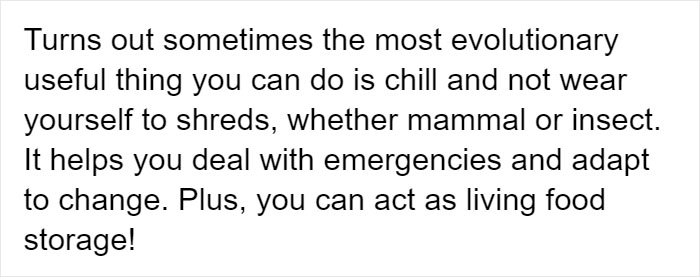 People Provide Historical And Biological Examples Of Why Humans Should Embrace The Lazy Life More Often People Provide Historical And Biological Examples Of Why Humans Should Embrace The Lazy Life More Often