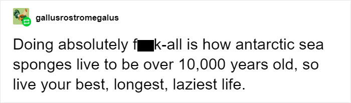 People Provide Historical And Biological Examples Of Why Humans Should Embrace The Lazy Life More Often People Provide Historical And Biological Examples Of Why Humans Should Embrace The Lazy Life More Often