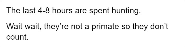 People Provide Historical And Biological Examples Of Why Humans Should Embrace The Lazy Life More Often