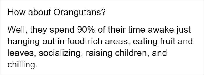 People Provide Historical And Biological Examples Of Why Humans Should Embrace The Lazy Life More Often