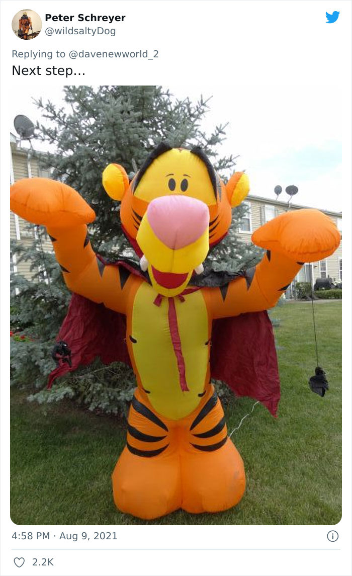 Joyless Karen Is Triggered By A Tigger Flag That Her Neighbor Has, Goes Viral On TikTok